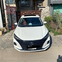 شانجان إيدو
